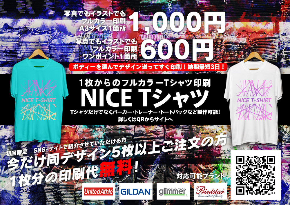 \1,000˔jLOāA11,000~̃tJ[TVcNICE TVc{