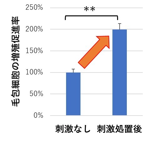 xmYƁAёgDזEւ̎hɂ蕪傳VȈу^pN𔭌@`VȈуAv[`ɂEяǂɑ΂ʂ֊ҁ`