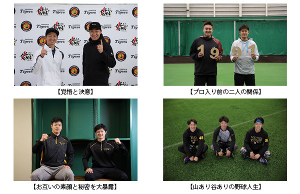 \ HANSHIN TIGERS YEARBOOK 2022 \u_^CK[X C[ubN2022v34ijʐM̔\̎tJnII