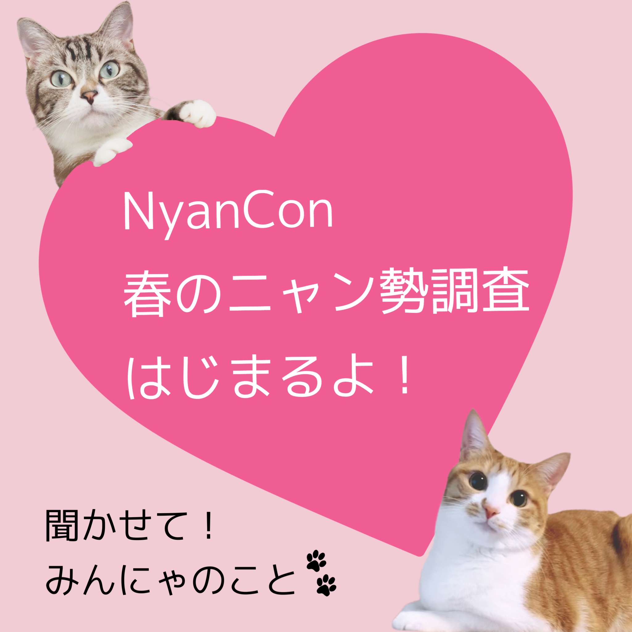 NyanCont̃j͂߂܂I`āI݂ɂ̂Ɓ`