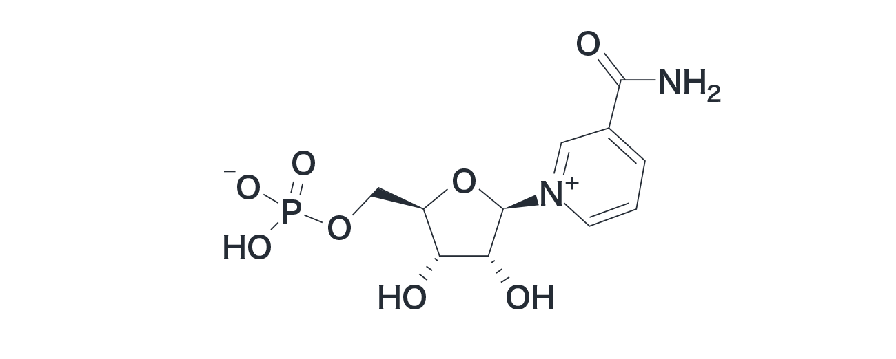 3̔DPTvuNMN-ovum Under 35vD]ɂ1s̔ɂÂđ2s̔Jn