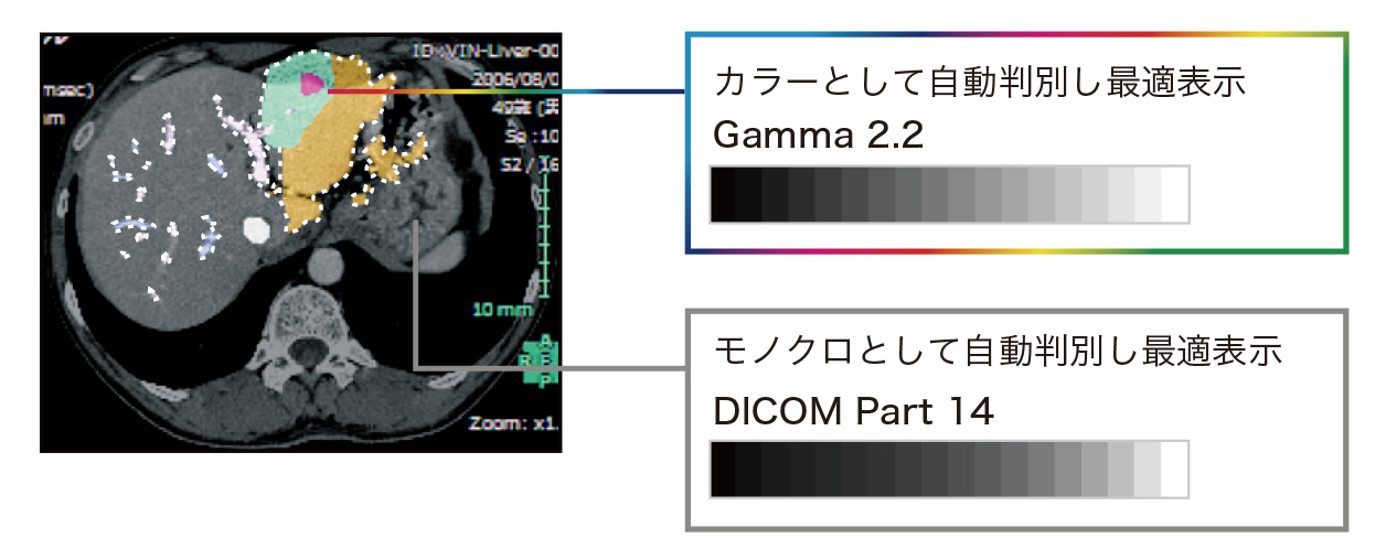 EIZOAגጸƏȃXy[X24.1^Ch̓dqJe摜\j^[𔭔