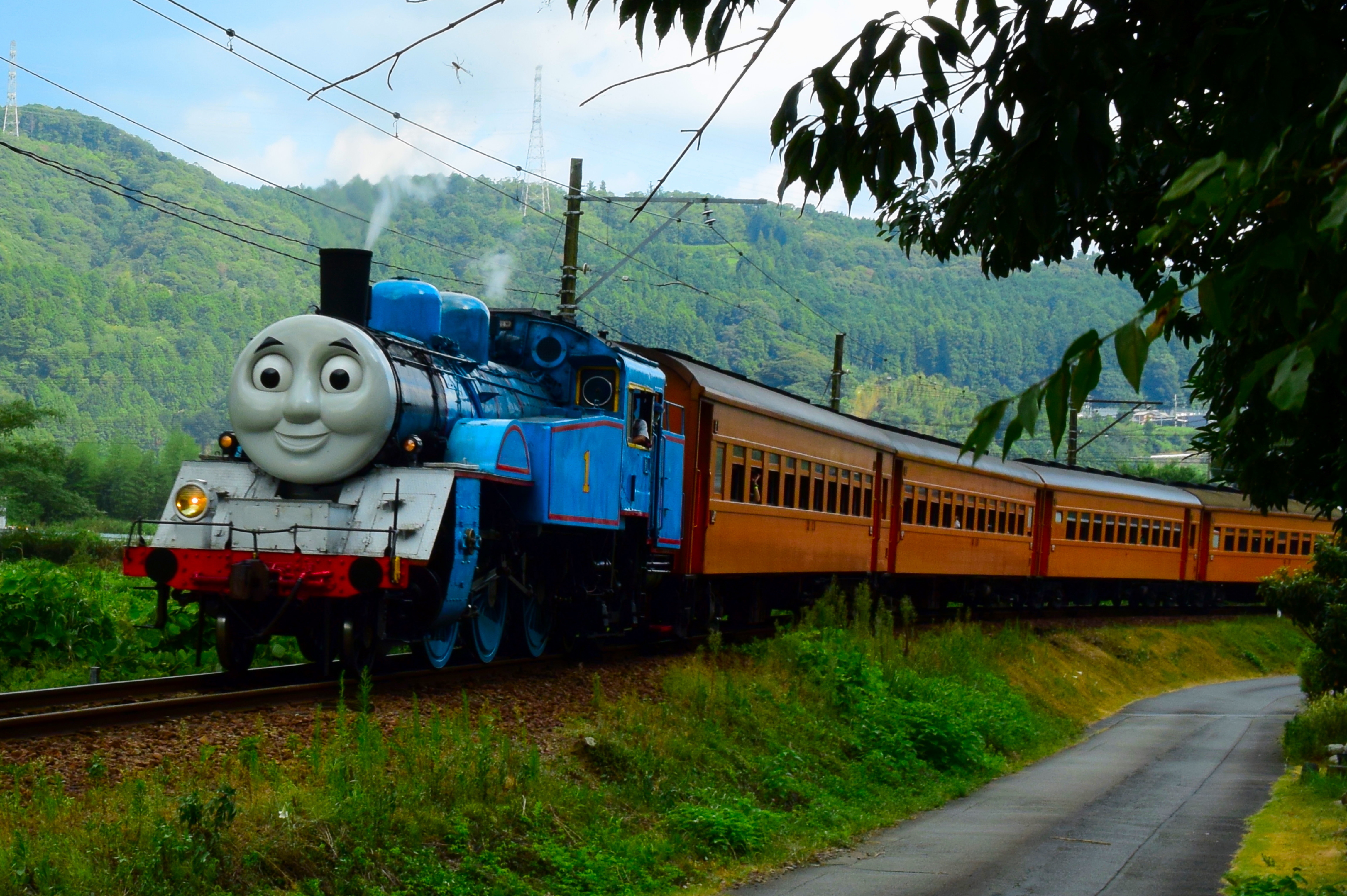 DAY OUT WITH THOMAS(TM) 2022 ~̓ʉ^]@{e̕ύXɂ