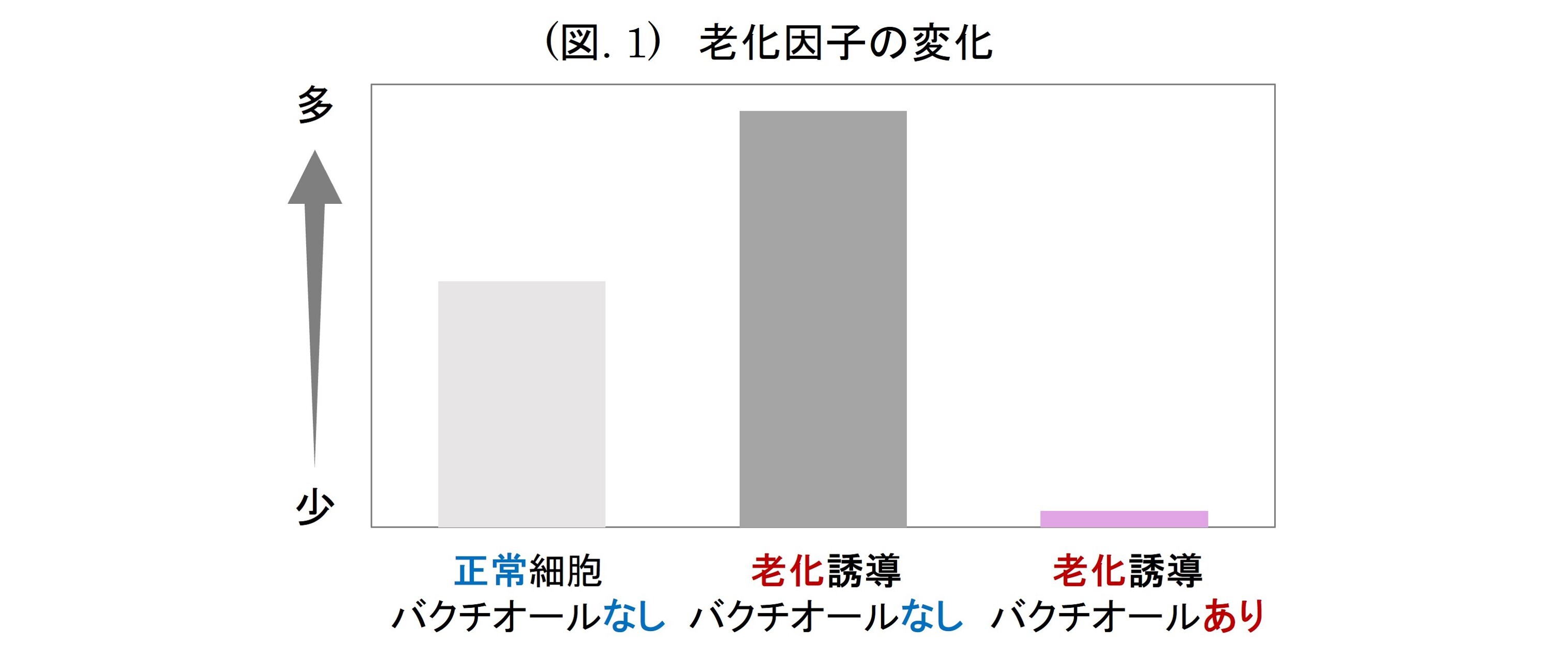 woN`I[xwiCAVA~hxwRExɂ鑊IȔ畆̘V}ʂ𔭌