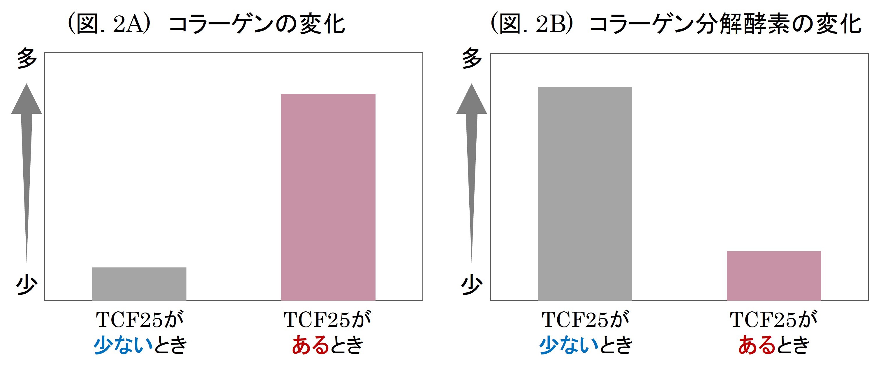 woN`I[xwiCAVA~hxwRExɂ鑊IȔ畆̘V}ʂ𔭌