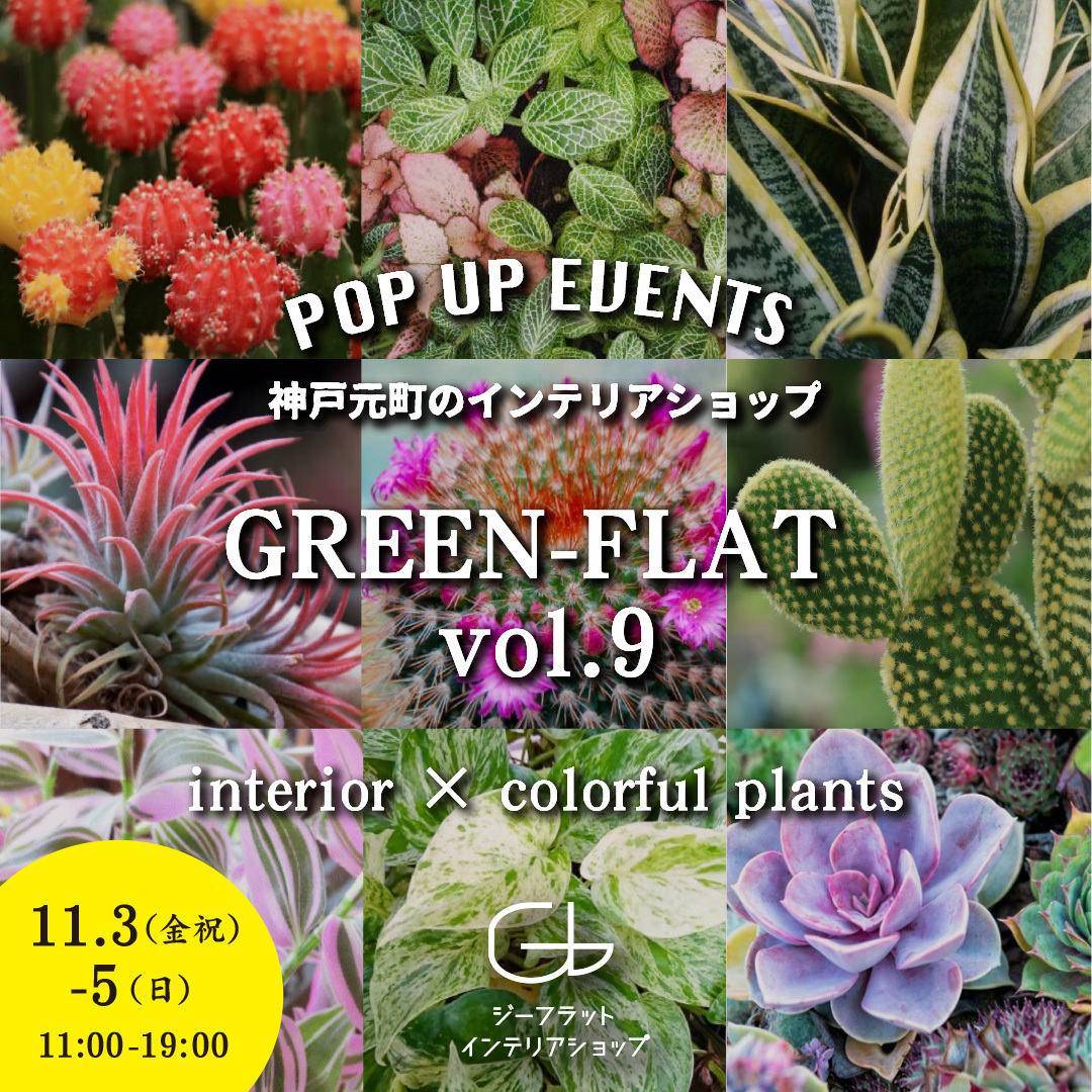 ϗtAWIIuGREEN-FLAT vol.9`interior~colorful plantsv113`115ɒcCeAVbvɂĊJÁI