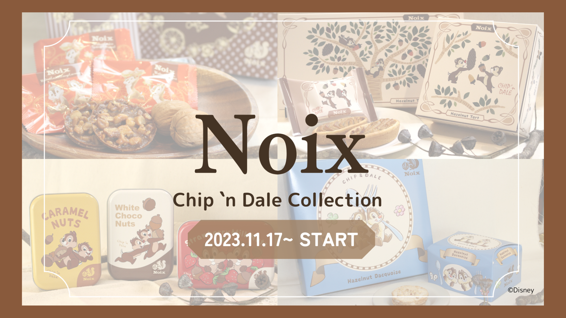 ؂̎̃XC[cXuNoix(m)vwChip 'n Dale Collection(`bvAhf[RNV)x2023N1117̔X^[gI