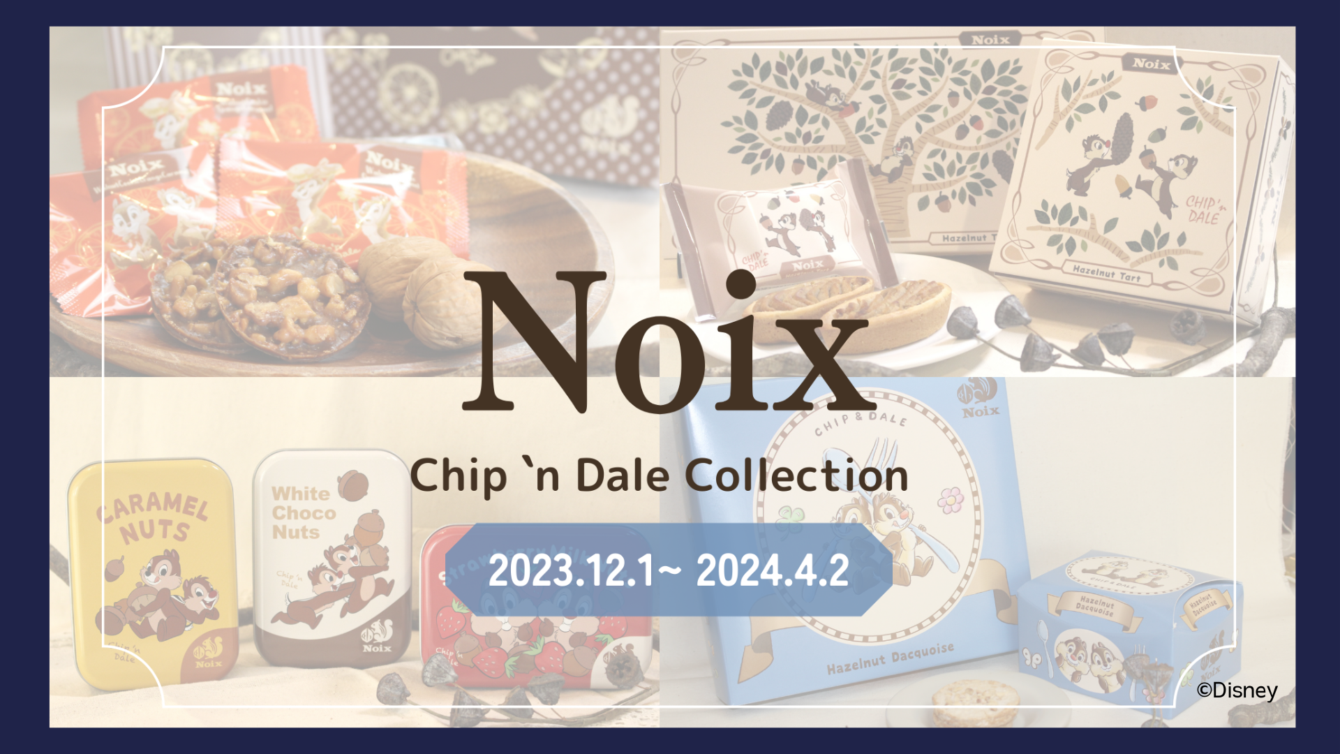 ؂̎̃XC[cXuNoix(m)vwChip 'n Dale Collection(`bvAhf[RNV)x2023N121Hc`2^[~i2F}[PbgvCXɂĊԌ̔X^[gI