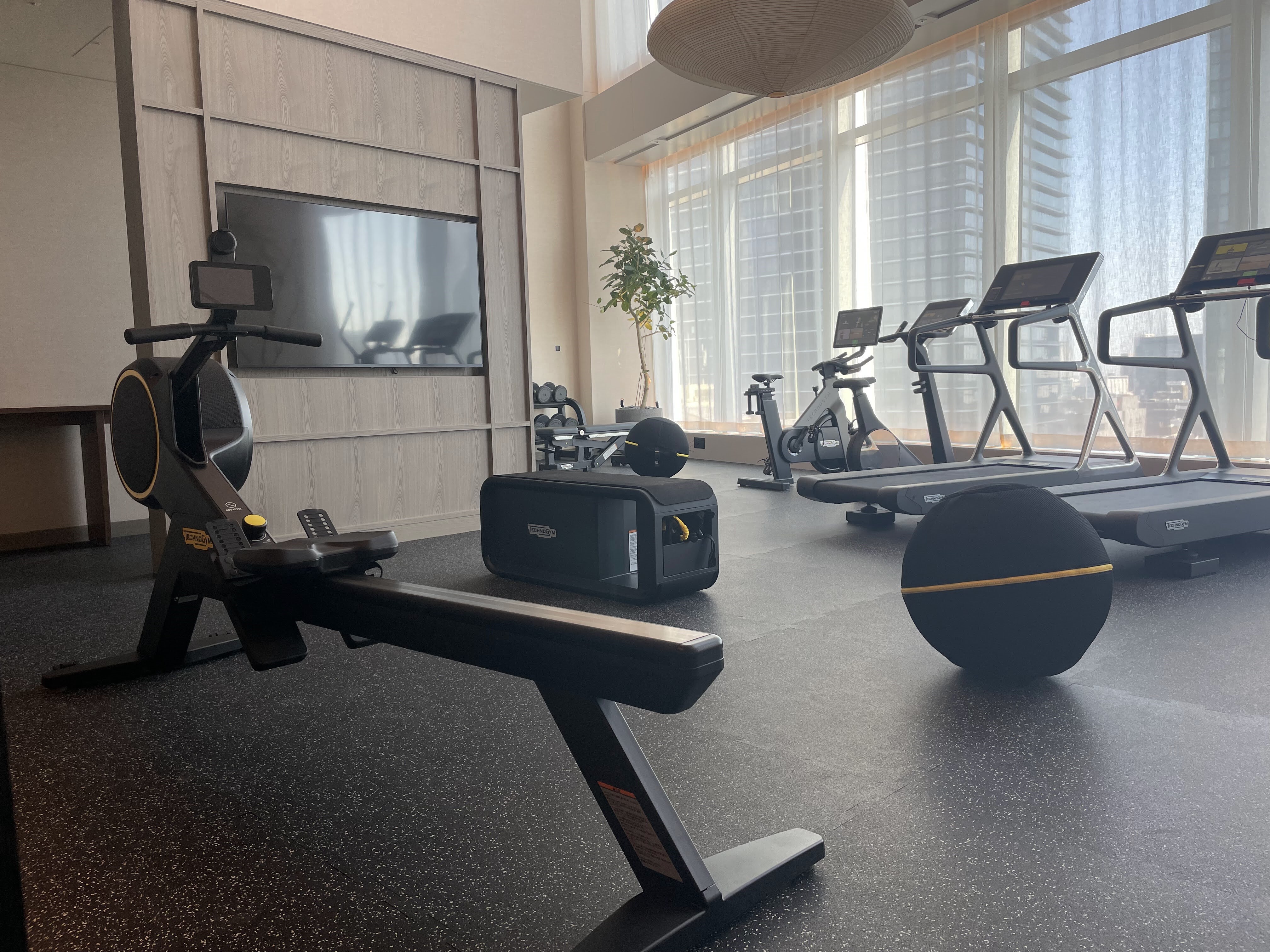 zeՃmqY ԌWTECHNOGYM HOME WELLNESS \[V