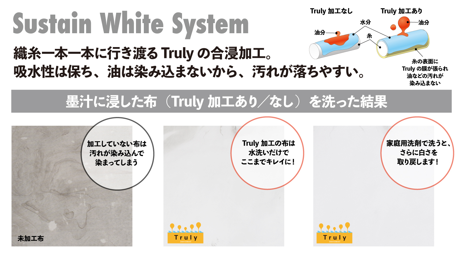 D₷zCgANeBuEFAuSustain White SystemvMakuakeɂ2/24ɐs̔Jn