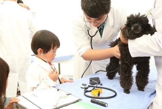 bt̎dɂĒmIƂӂꂠIOKCxgu2024Ӄf[ in JAPAN gWorld Veterinary Dayhv2024N921(y)J