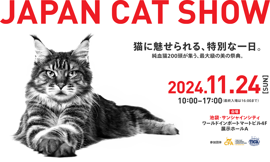 JAPAN CAT SHOW 2024iWpLbgV[jPEPPYoW邱Ƃ肵܂I