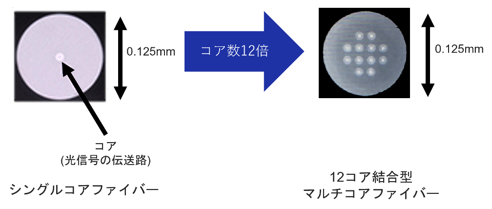 NECNTTAEA12RAt@Co[ɂ7,000kmȏ̒`ɐ
`mfCP[ȗeʉɌđOi`