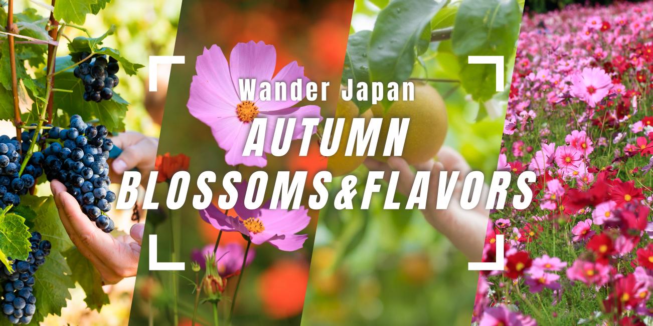 CoEȟRecuWander Japanv
{̏H\łhAutumn Blossoms and FlavorshJÌI