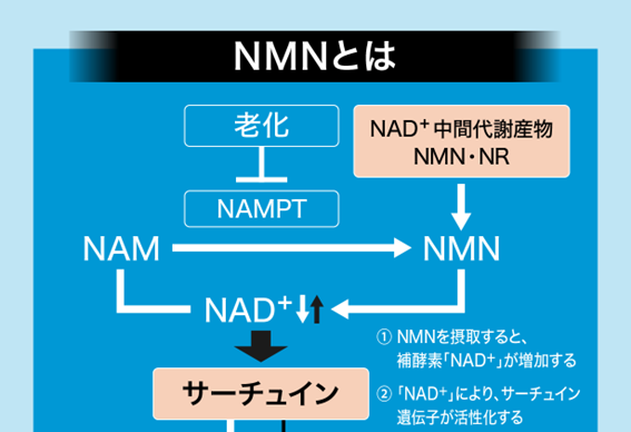 Ő[̃ZtfBP[VEJpj[uMEDICADATE JAPANifBJfCgEWpjvVɍNMNTvgAmazoniA}]jɂĔ̔JnI