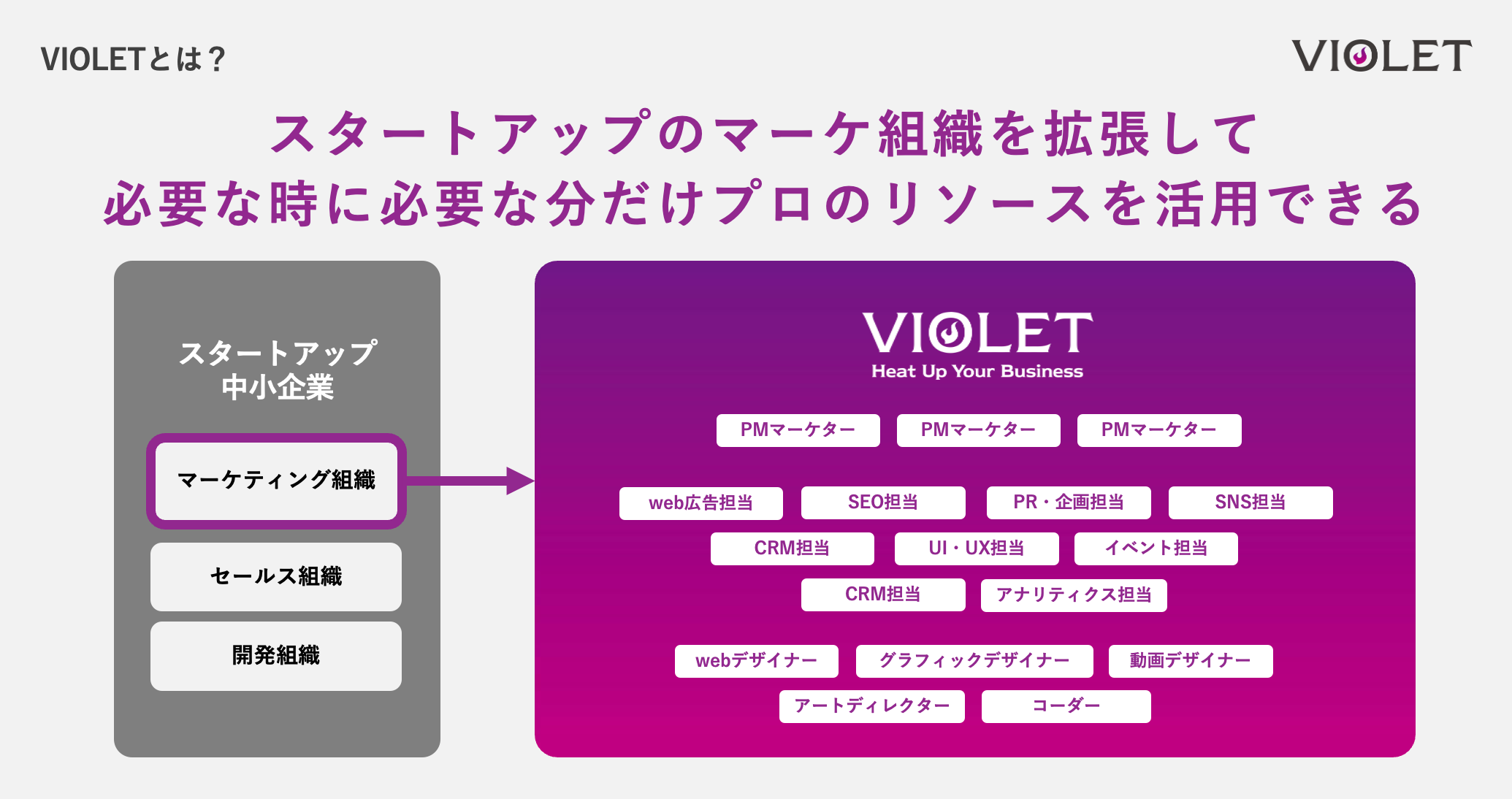 VIOLETAo^}[P^[100l˔jIV[YA`C̃X^[gAbvɒČ^}b`OT[rXVIOLET match𖳏