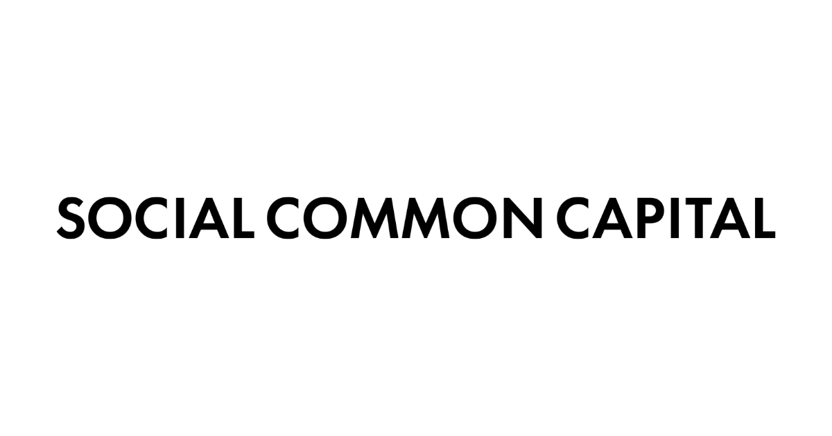 SOCIAL COMMON CAPITALAlѐVoc̐Ɋւ邨m点