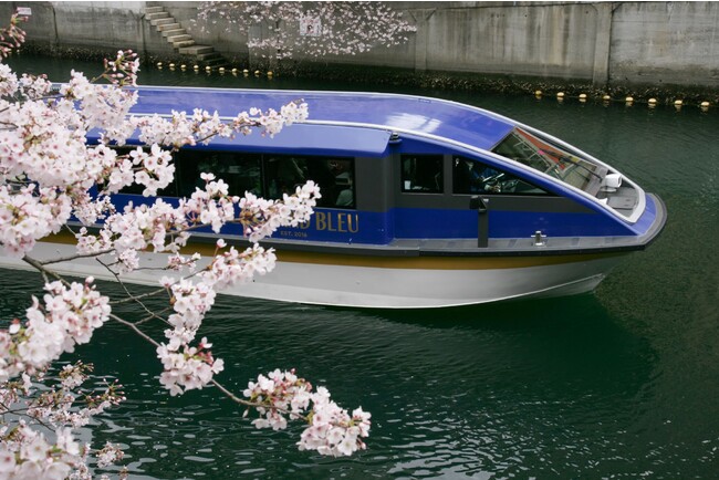 Cruise & Stay `Sakura` 2023