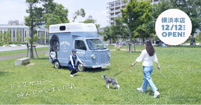 THE DOG(TM)肪ړ^g~OT t`CY1XuTHE DOG(TM) Salon Trimming Wagon l{XvOhI[vI