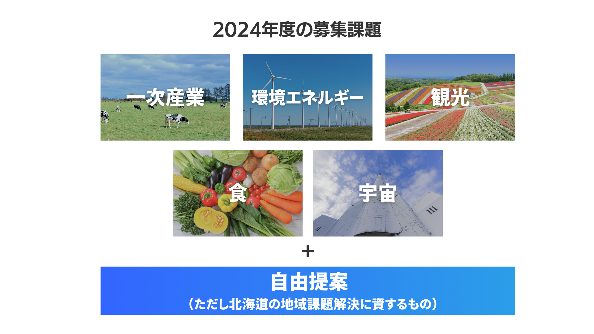 kCŎƓWJڎwX^[gAbvWII[vCmx[VvOuLocal Innovation Challenge HOKKAIDO 2024v