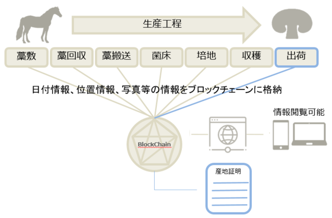 Web3.0ɂSDGs̒BɌā@_앨̎YnؖɃubN`F[p@WIt@[~b`hb`eNmW[Y