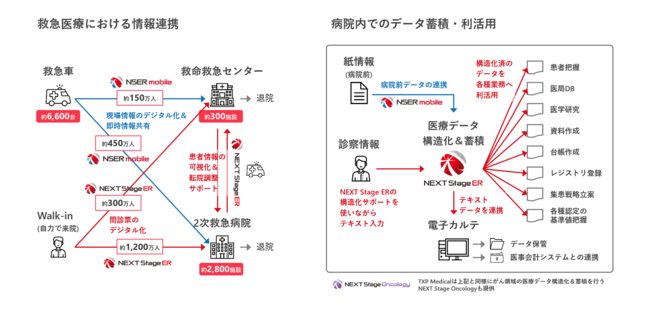 TXP MedicalɓEUTEC15~̎𒲒B