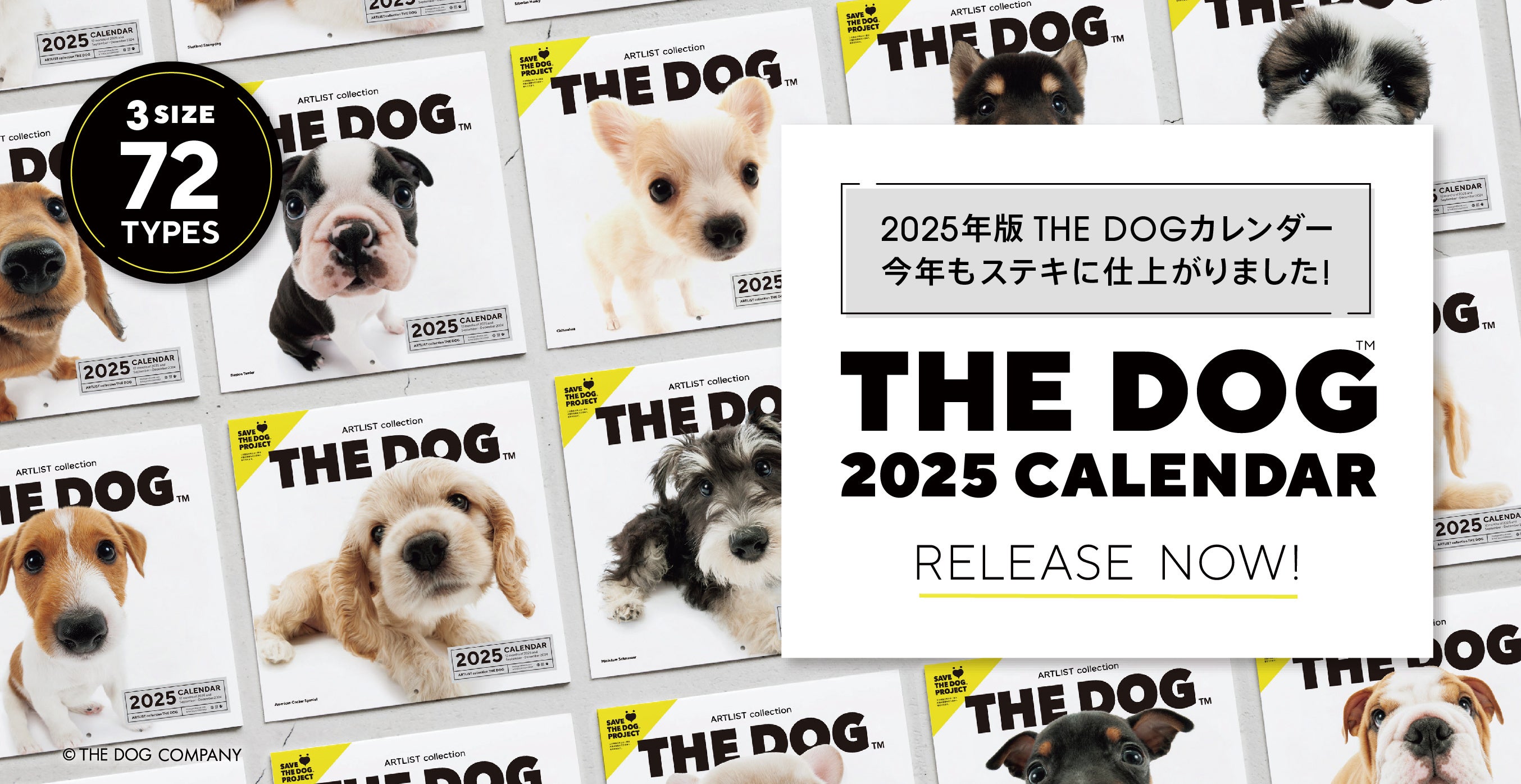 ی쌢̏Ί炪W܂wSAVE THE DOG 2025J_[x󒍊Jn