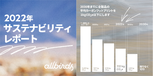 Allbirds 2022NŃTXeireB|[gJ ON19%̃J[{tbgvg팸