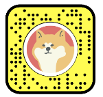 Snapchat̃JX^ P[VY{㗤IaJ̃n`ϐgIH