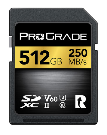 SDXC UHS-II V60 GOLDV[Yɍőe512GB𔭔