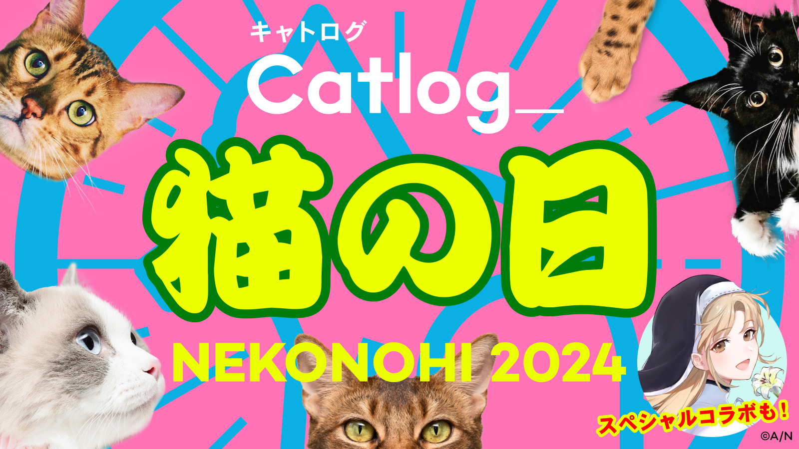 j222L̓Catlog(R)AʂT唭\Iʐ^AILLEjQp`eBTVc̔ETBSWIɂ񂶑lCVTuberR{ȂǁA肾ł͂