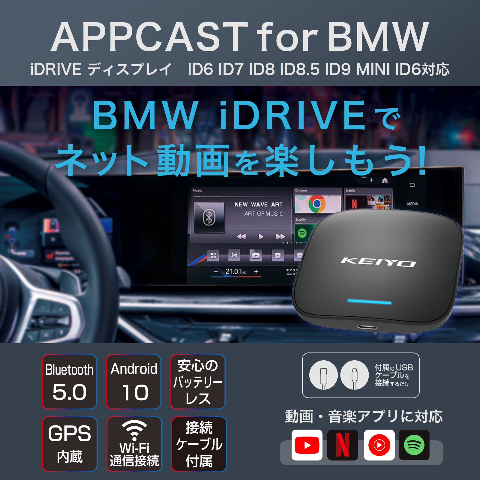 KEIYOuBMWԌViwAPPCAST FOR BMW AN-S133xj^[WJnIzMT[rXBMWiDriveŊyv