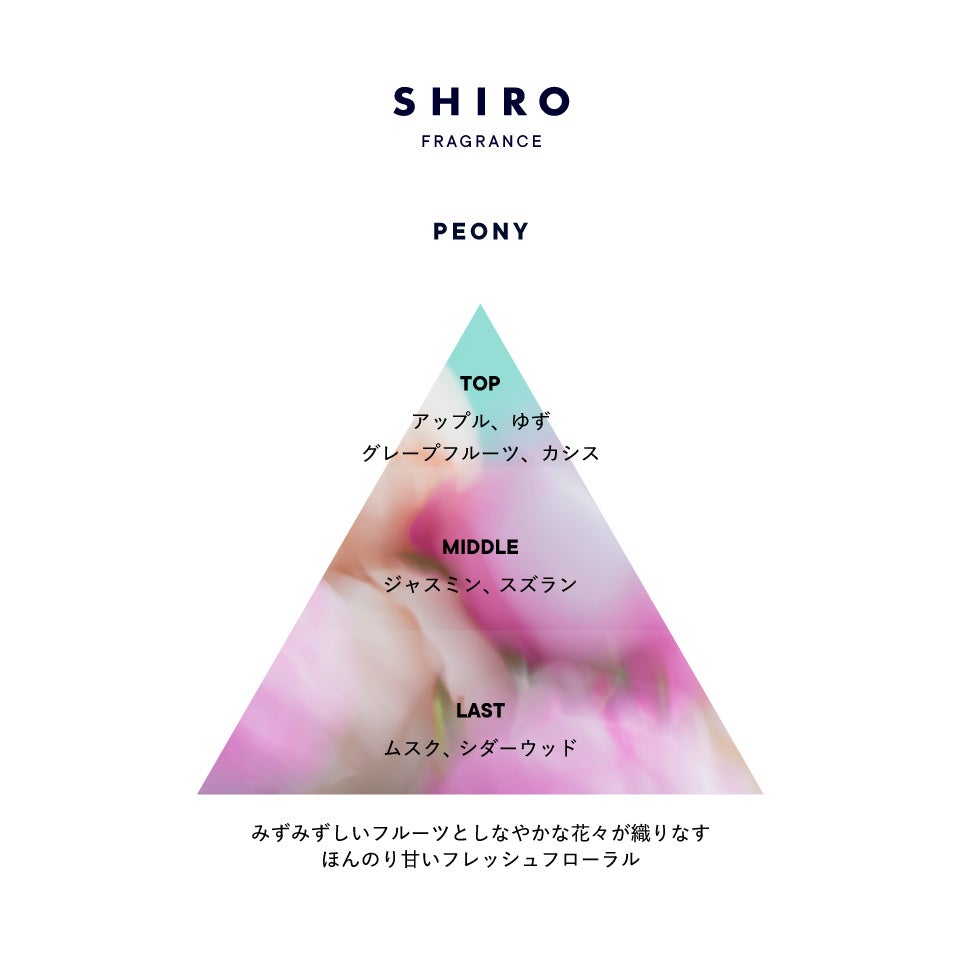 ySHIROzLIMITED FRAGRANCE sIj[