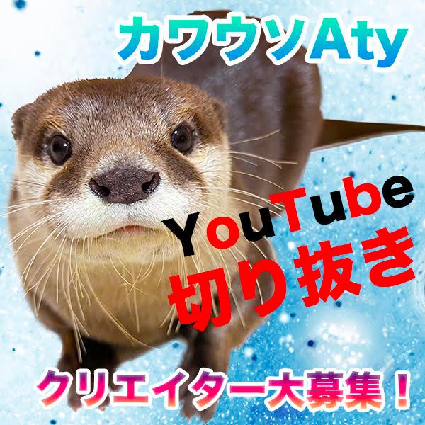 SNStH[257l lC̃JE\YouTuberuAtyvuUivƁuɂyvt@̊Fl̐؂蔲WJn Tu`luMrCatvŌJI